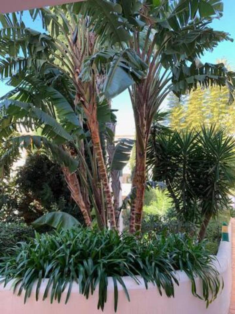 Pueblo Del Parque Avec Belle Terrasse Lejlighed Benalmádena